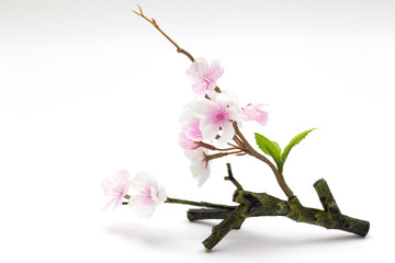 Naklejka premium Pink Cherry blossom, sakura flowers isolated on white background, fake Flowers made from fabric