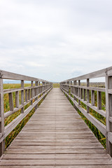 Wooden bridge and shelter in lotus lake name Bung Bua at Khao sam roi yod national park, Thailand. In cloudy day