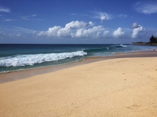Fototapeta premium banzai pipeline surfers beach in hawaii