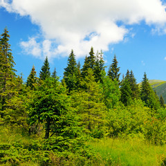scenic mountains, meadows and blue sky
