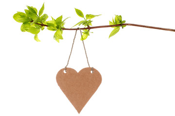 Tree branch with heart shaped tag