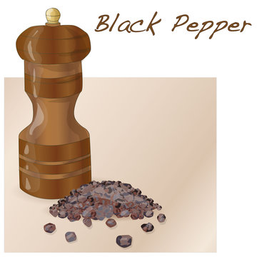 Black pepper vector isolated