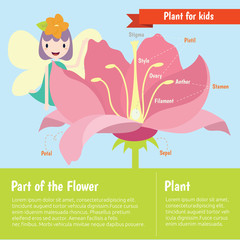 Plant for kids vector. Part of the flower learning. plant vector set.