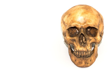 Rusty Human skull - isolated on white background