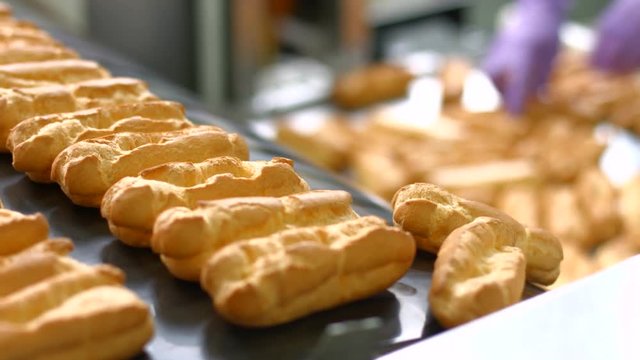 Eclairs sliding down conveyor line. Production of eclairs. High standard of quality. Making the best confectionery.