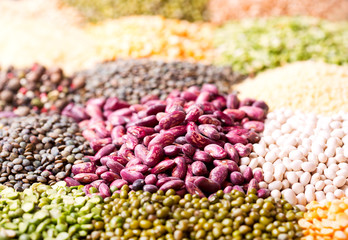 various cereals, seeds, beans and grains