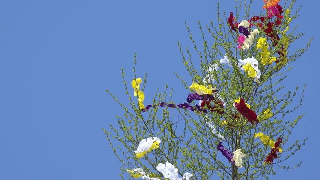 Maibaum mit bunten B&auml;ndern vor blauem Himmel