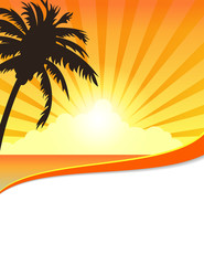 Tropical sunset flyer template design
