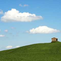 A typical country landscape in spring time