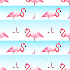 Obraz premium Pink Flamingo Seamless Horizontal Stripes Pattern 
