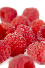 fresh raspberry fruits