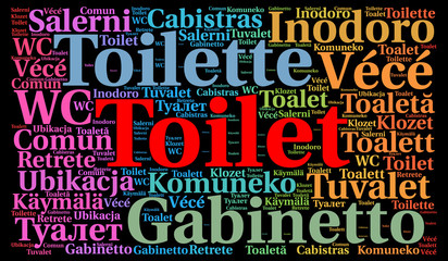 Toilet in different languages word cloud