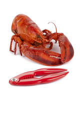 cooked lobster with lobster cracker