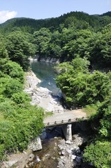 Fototapeta na wymiar 夏の早戸川