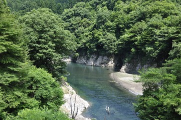 夏の渓流