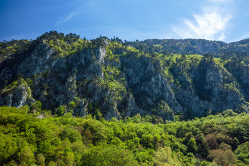 Limestone mountains