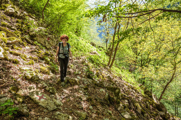 Fototapeta premium Hiking on a forest trail