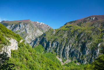 Limestone mountains