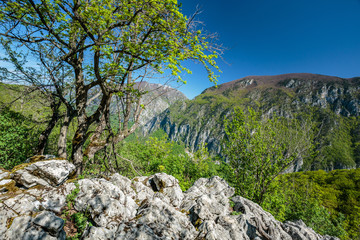 Limestone mountains