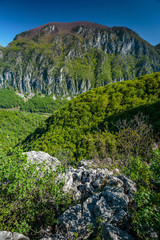 Limestone mountains