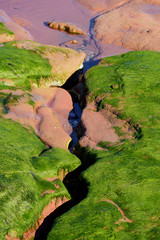 Green Rocks at low tide, Devon, England
