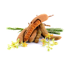 Tamarind on white background