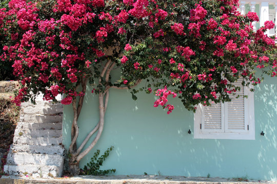 Wyspa Zakynthos, Grecja