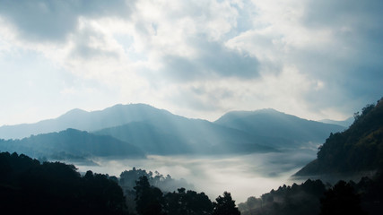 Mountain with mist landscape, Doi Ang Khang, Thailand