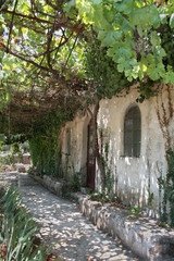 Wyspa Zakynthos, Grecja, stara winnica
