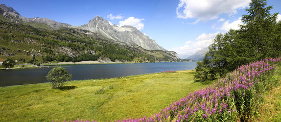 Walking around Sils Lake on Engadine Valley (Switzerland - Europe)
