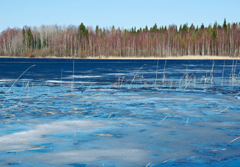 spring  flooding on the lake