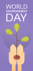 Fototapeta premium Hands Hold Growing Tree World Environment Day Earth Protection