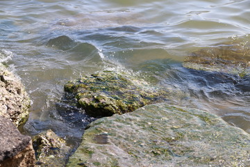 волны и камни на морском берегу