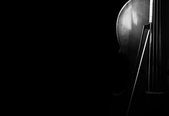 Cello on a black background. © arybickii