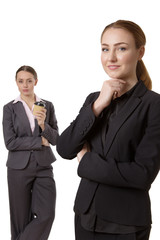 professional business model