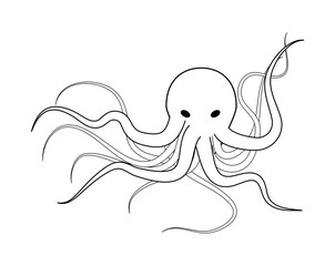 Plakat octopus illustration