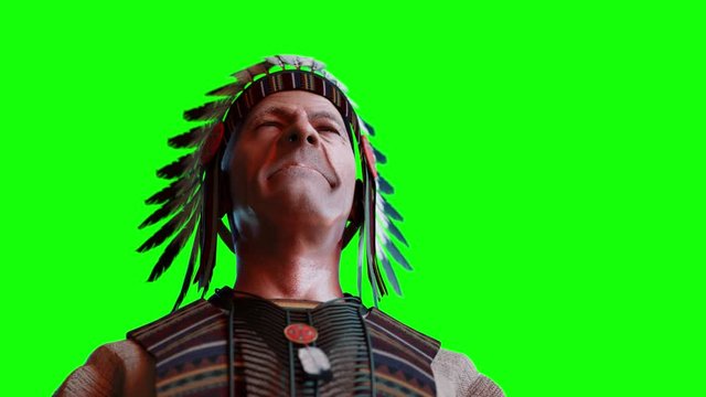 the old Indian chief on a green background 3D render