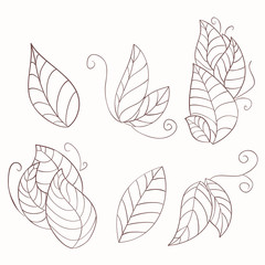 Set of decorative leaves drawn by hand. Monochrome gamma .