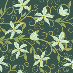 Vector illustration of Curling vines of the orchids of vanilla.