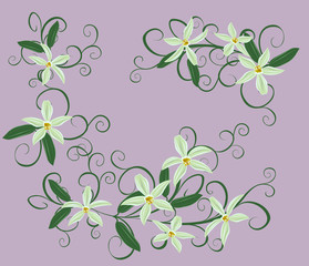 Vector illustration of Curling vines of the orchids of vanilla.