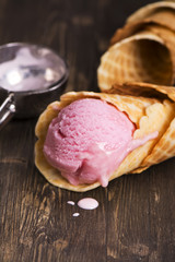 Homemade berry ice cream