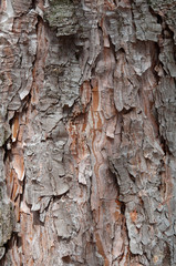 Alte rustikale Holzbretter als Hintergrund