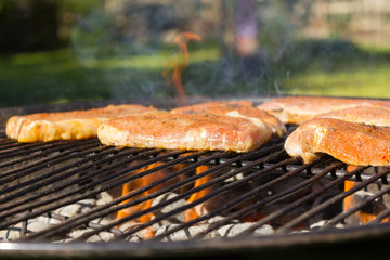 steak on Grill- barbecue, BBQ