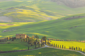 Morning in the Val d&rsquo;Orcia, or Valdorcia, a region of Tuscany, central Italy, which extends from the hills south of Siena to Monte Amiata. 