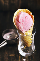 Homemade berry ice cream