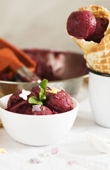 Homemade sorbet ice cream