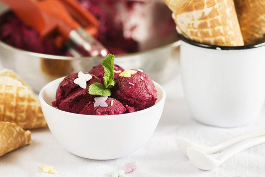 Homemade Sorbet Ice Cream