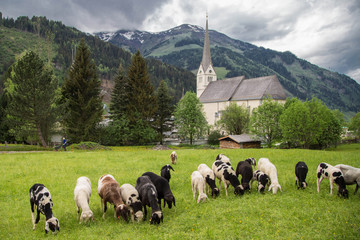 Rauris, idyllisches Bergdorf in den Alpen