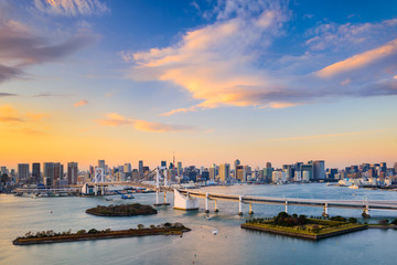 Fototapeta premium Tokyo Bay Skyline