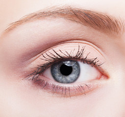 Obraz premium female face makeup with blue eye